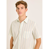 La Paz La Paz Alegre Green Spray Stripes Green Striped Shirt – Cotton Regular Fit La Paz La Paz Alegre Green Spray Stripes Green Striped Shirt – Cotton Regular Fit