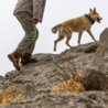 Danner Danner Cascade Crest Grizzly Brown / Ursa Blue Danner Danner Cascade Crest Grizzly Brown / Ursa Blue