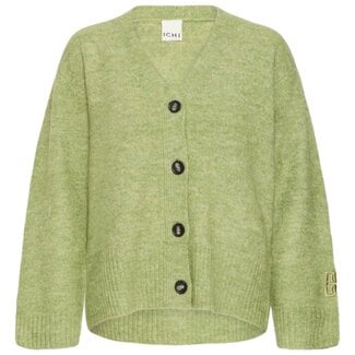 ICHI BALING CA - Iguana