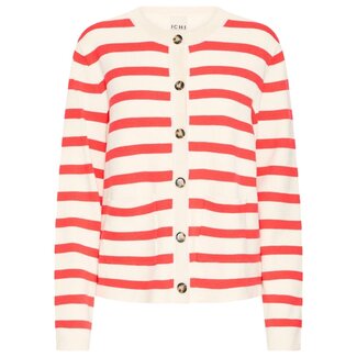 ICHI BOSTON CA5 - Birch Teaberry