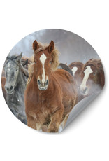 Dunnebier Home Muursticker Kudde paarden - verwijderbaar
