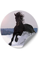 Dunnebier Home Muursticker Zwart paard in de sneeuw - verwijderbaar