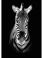 Dunnebier Home Poster Zebra zwart