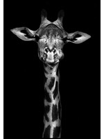 Dunnebier Home Poster Giraffe zwart