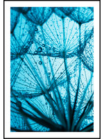 Dunnebier Home Poster Droogbloemen blauw