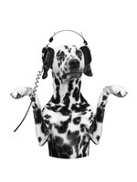 Dunnebier Home Muursticker Dalmatier met koptelefoon