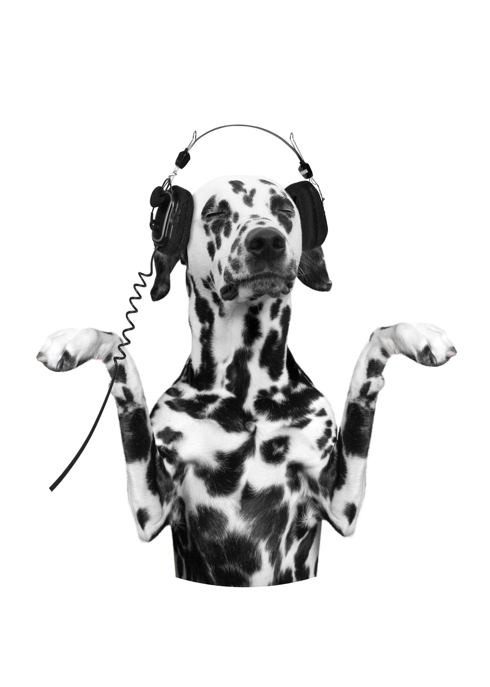 Dunnebier Home Muursticker Dalmatier met koptelefoon - verwijderbaar
