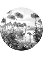 Dunnebier Home Muursticker Flamingo birds from Brockhaus Konversations-Lexikon 1908