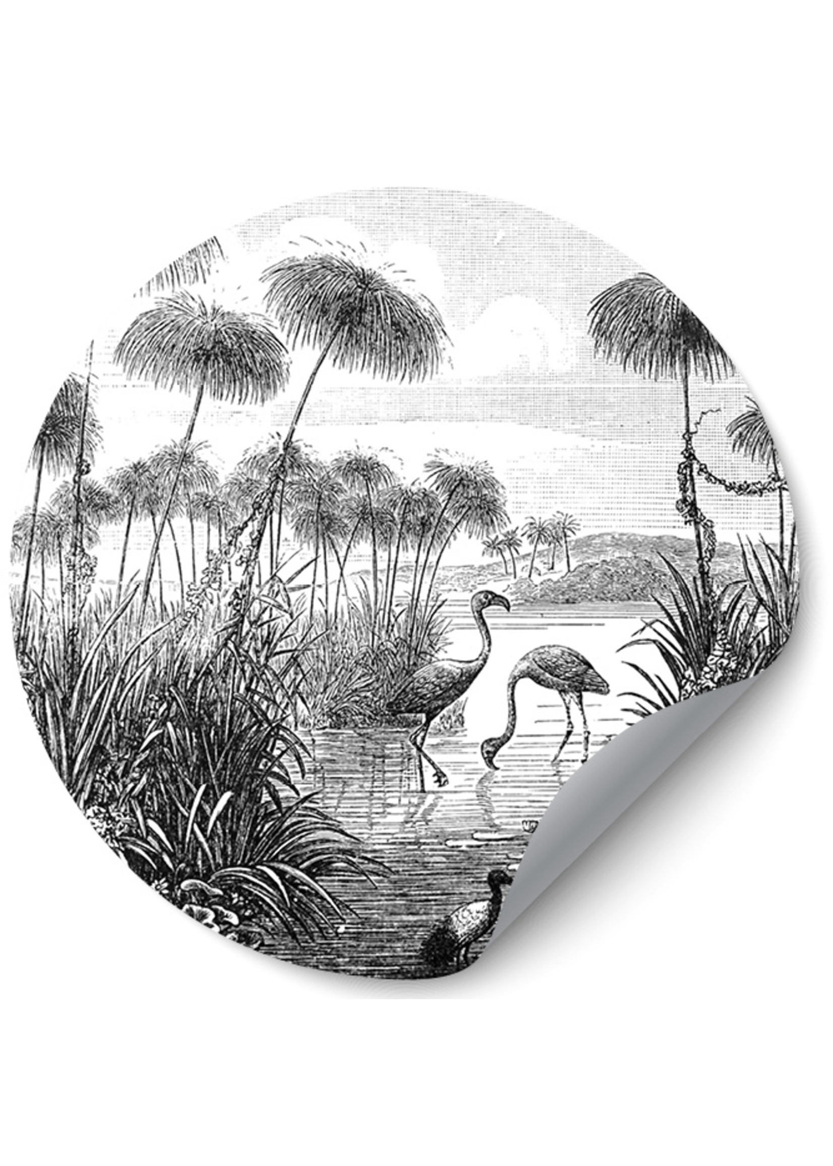 Dunnebier Home Muursticker Flamingo birds from Brockhaus Konversations-Lexikon 1908 - verwijderbaar