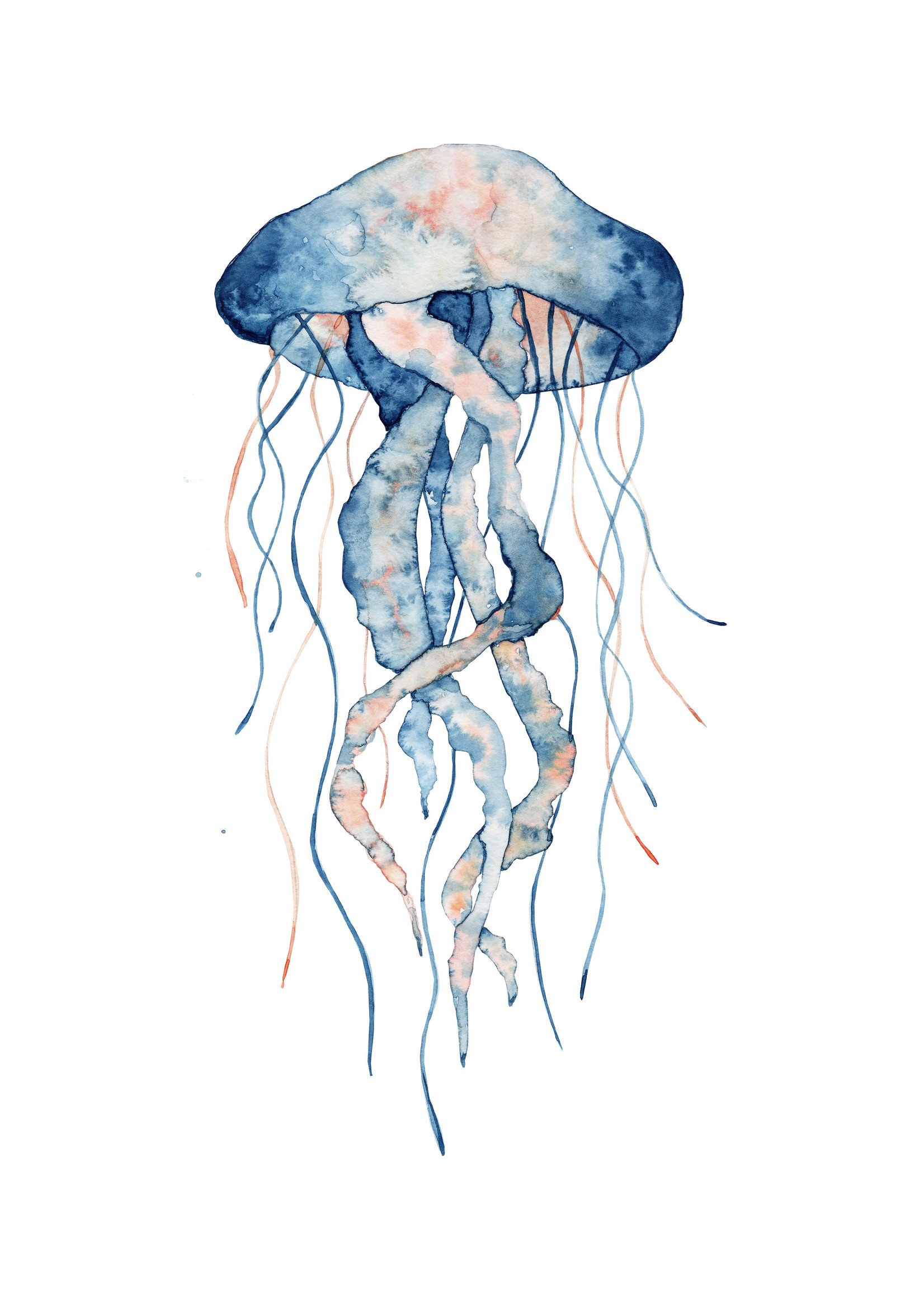 Dunnebier Home Poster Jellyfish_No2