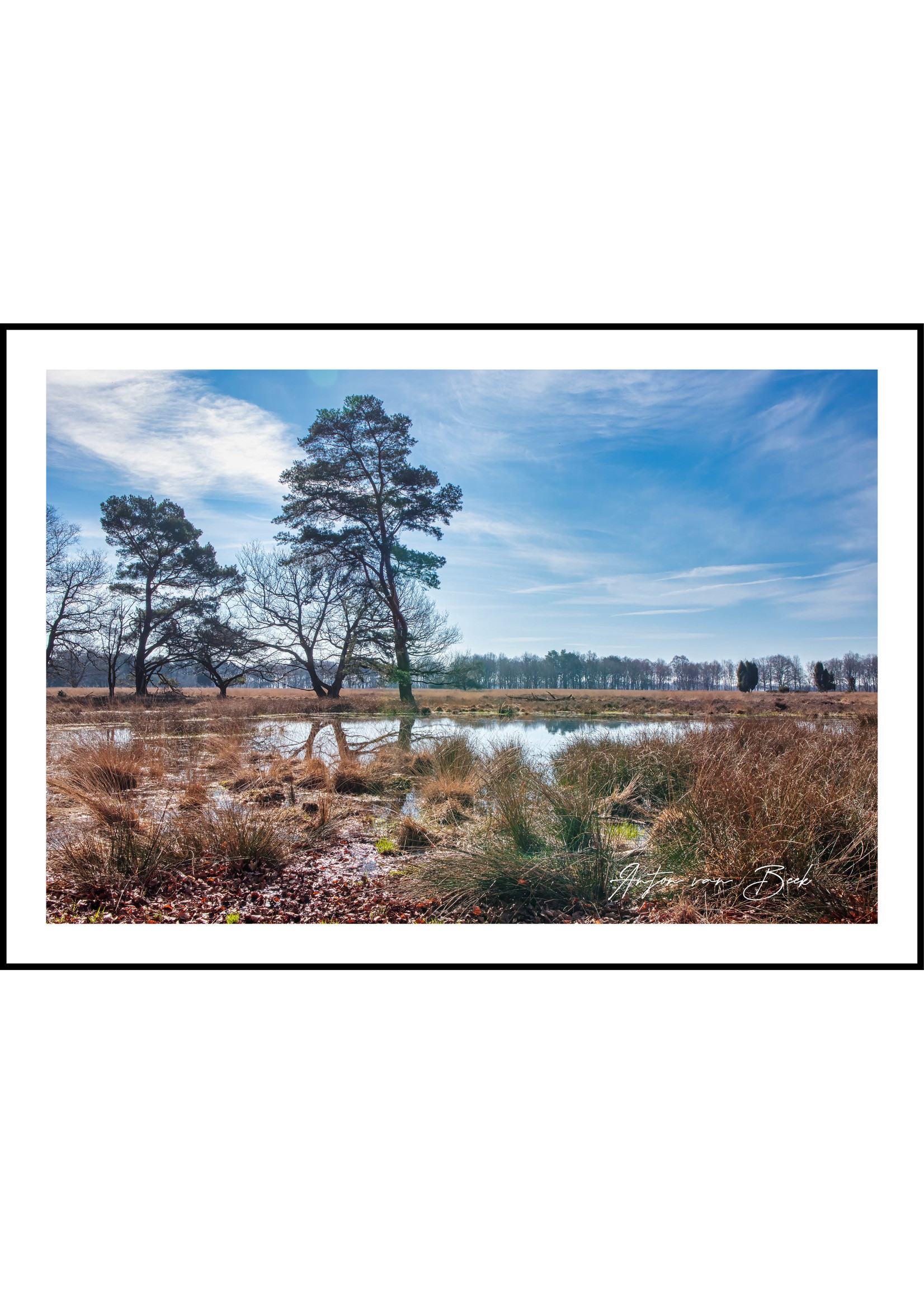 Dunnebier Home Poster Drenthe_2 - Anton van Beek Collectie