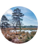 Dunnebier Home Muursticker Drenthe_2