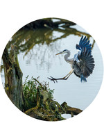 Dunnebier Home Muursticker Reiger