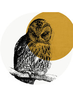 Dunnebier Home Muursticker Owl Gold No2