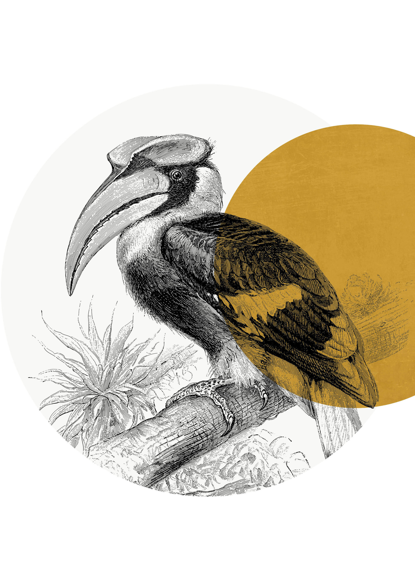 Dunnebier Home Muursticker Great Hornbill by Meyers Konversations-Lexikon 1897 Gold - verwijderbaar