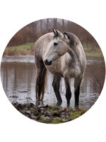 Dunnebier Home Muursticker Wild paard No2