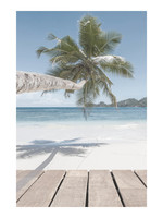 Dunnebier Home Poster Palmboom aan Strand