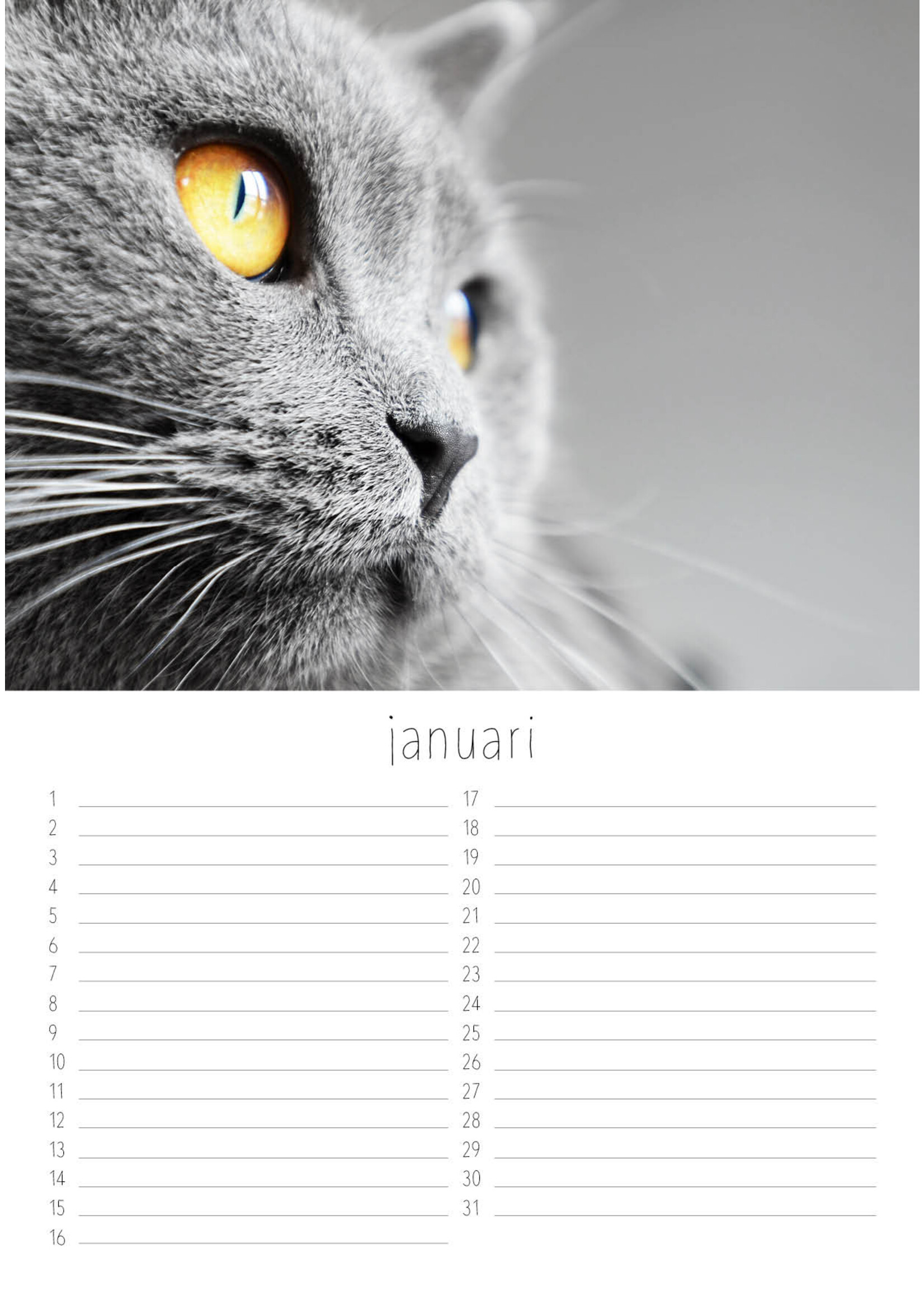 Dunnebier Home Verjaardagskalender Katten