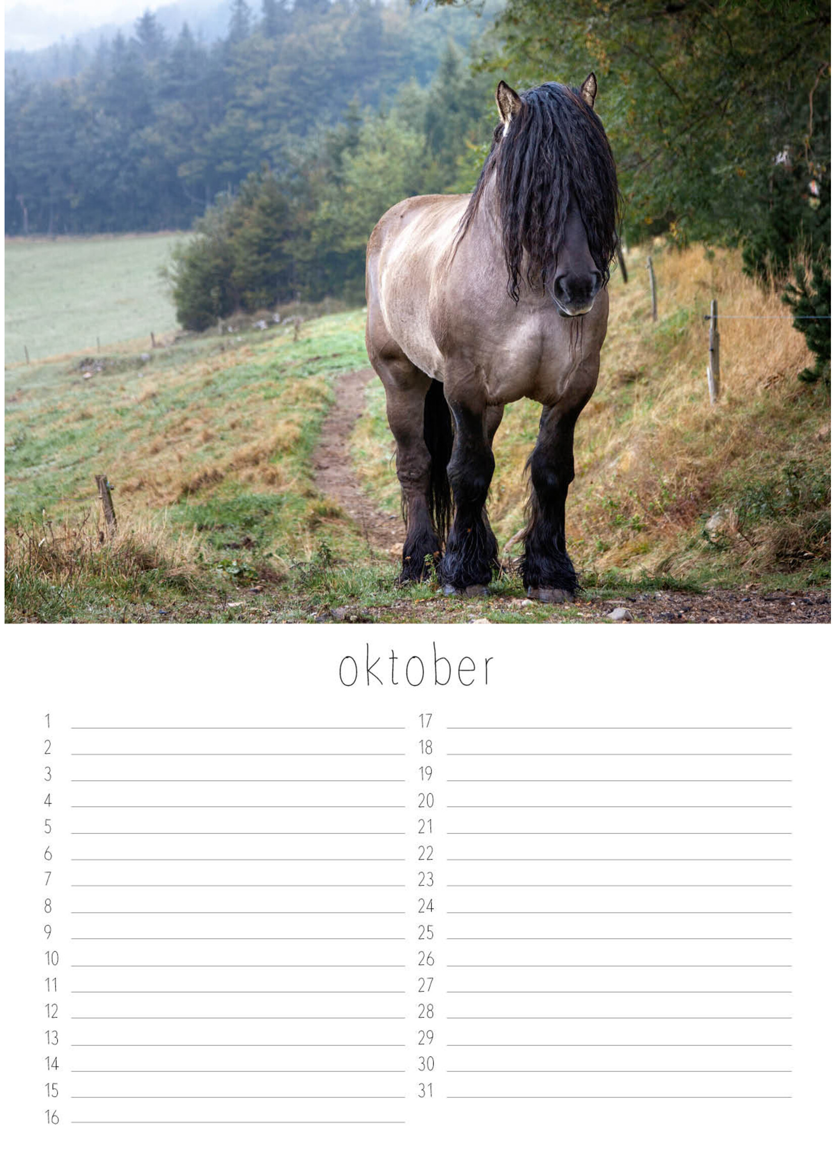 Dunnebier Home Verjaardagskalender Paarden 2