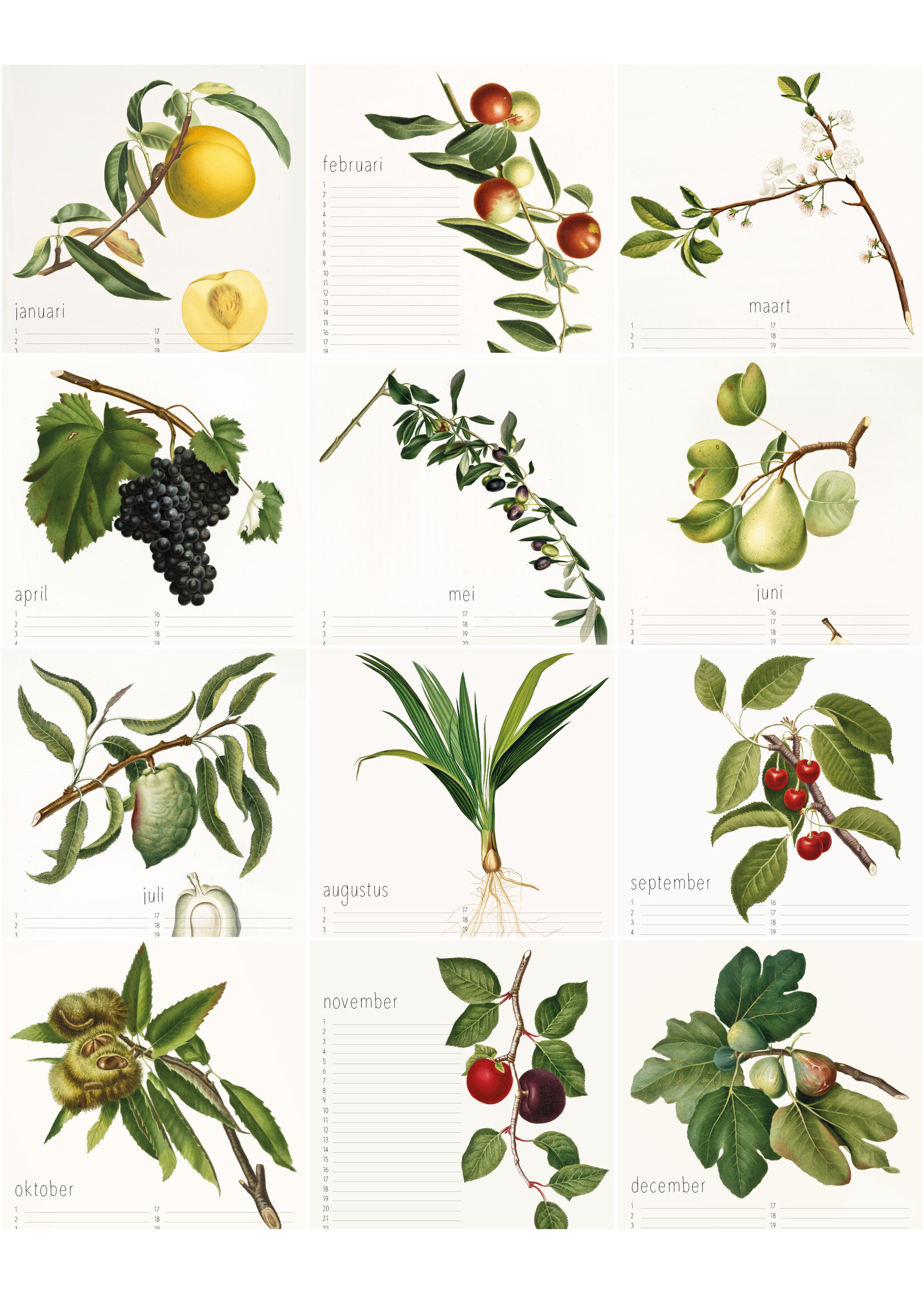 Dunnebier Home Verjaardagskalender Illustraties van Giorgo Gallesio