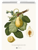 Dunnebier Home Verjaardagskalender Illustraties van Giorgo Gallesio