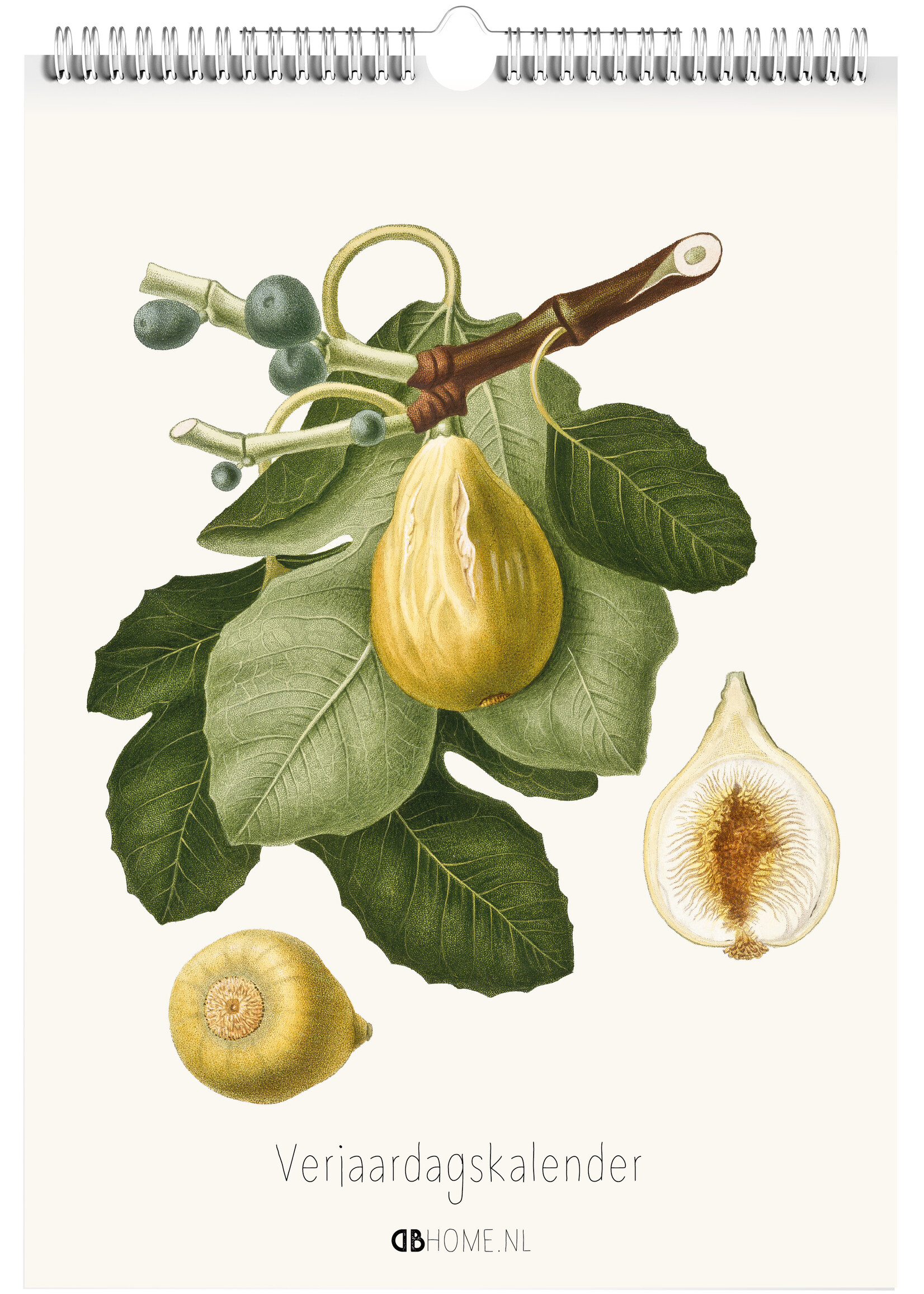 Dunnebier Home Verjaardagskalender Illustraties van Giorgo Gallesio