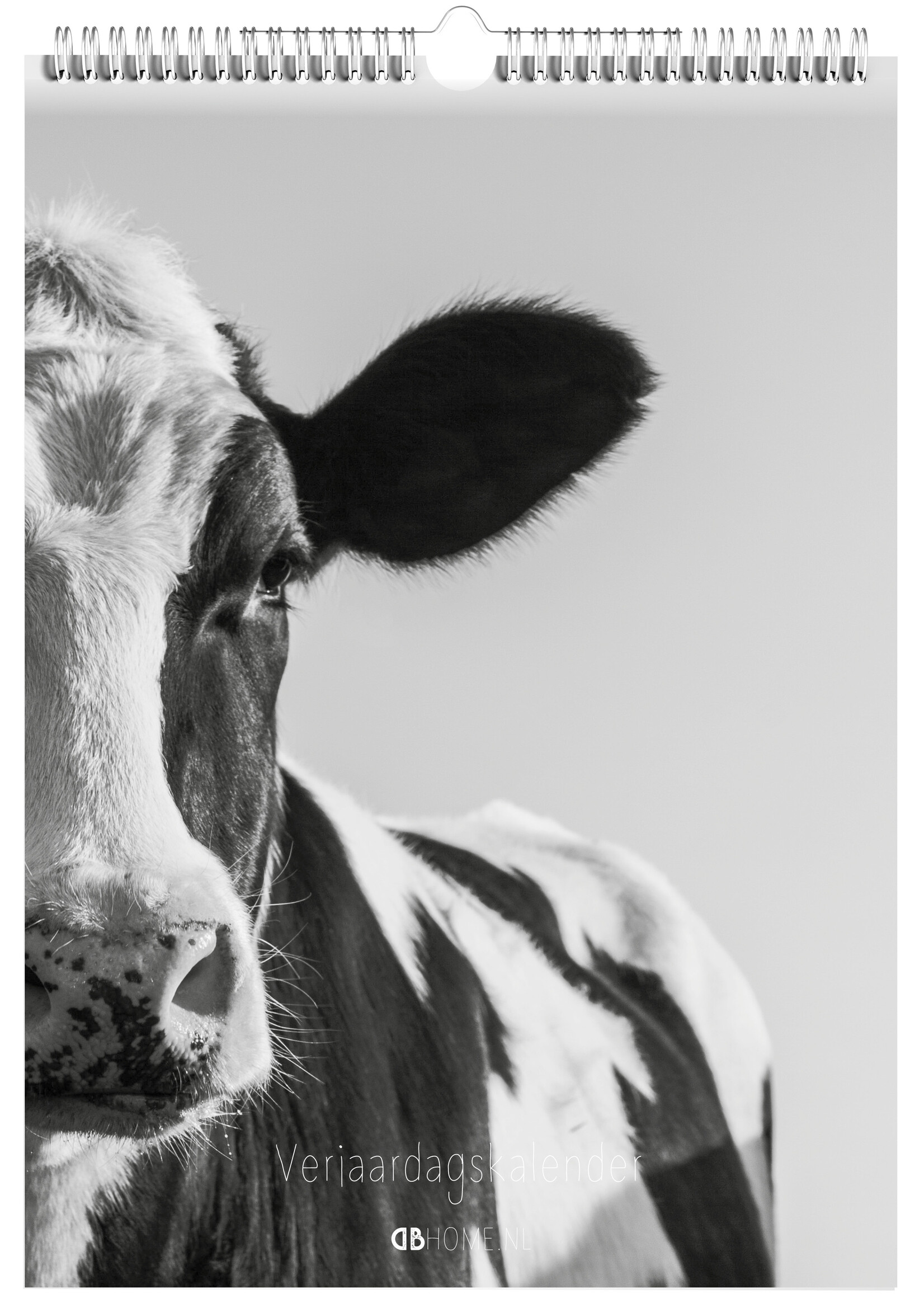 Dunnebier Home Verjaardagskalender Koeien