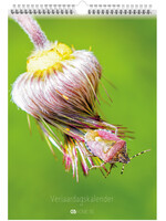Dunnebier Home Verjaardagskalender Insecten