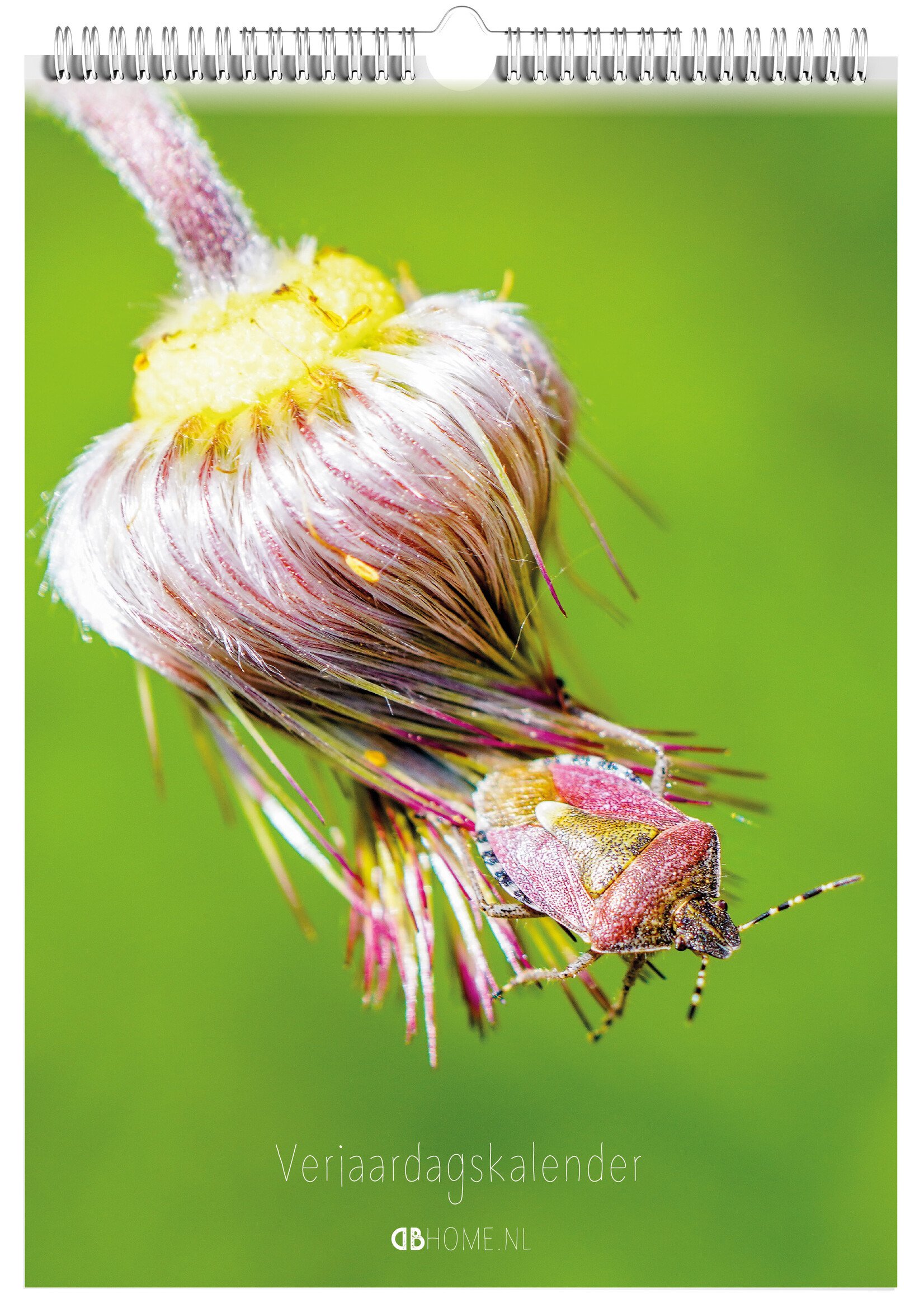 Dunnebier Home Verjaardagskalender Insecten