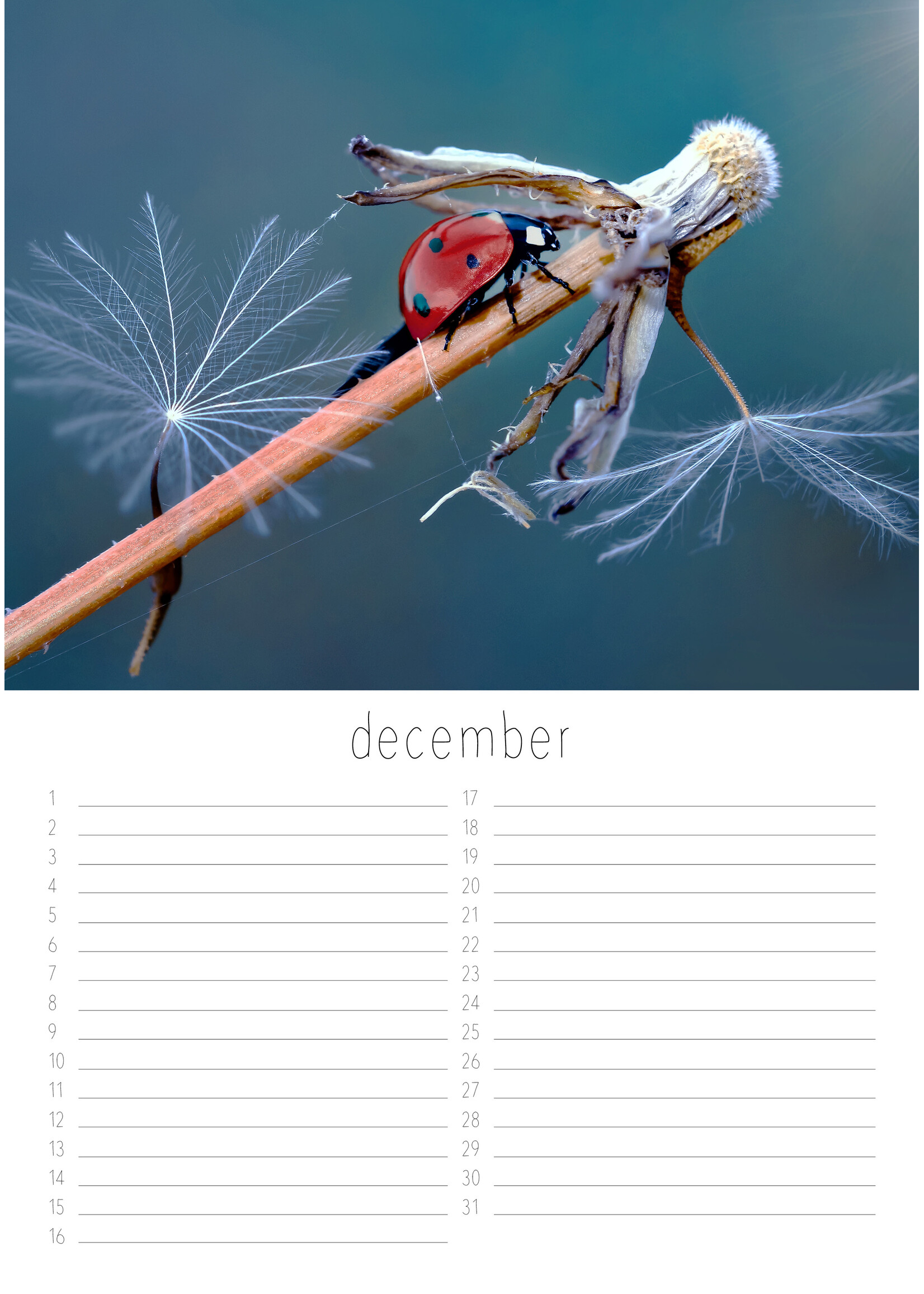 Dunnebier Home Verjaardagskalender Insecten