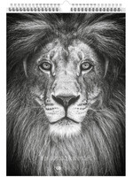 Dunnebier Home Verjaardagskalender Dieren zwart wit 2