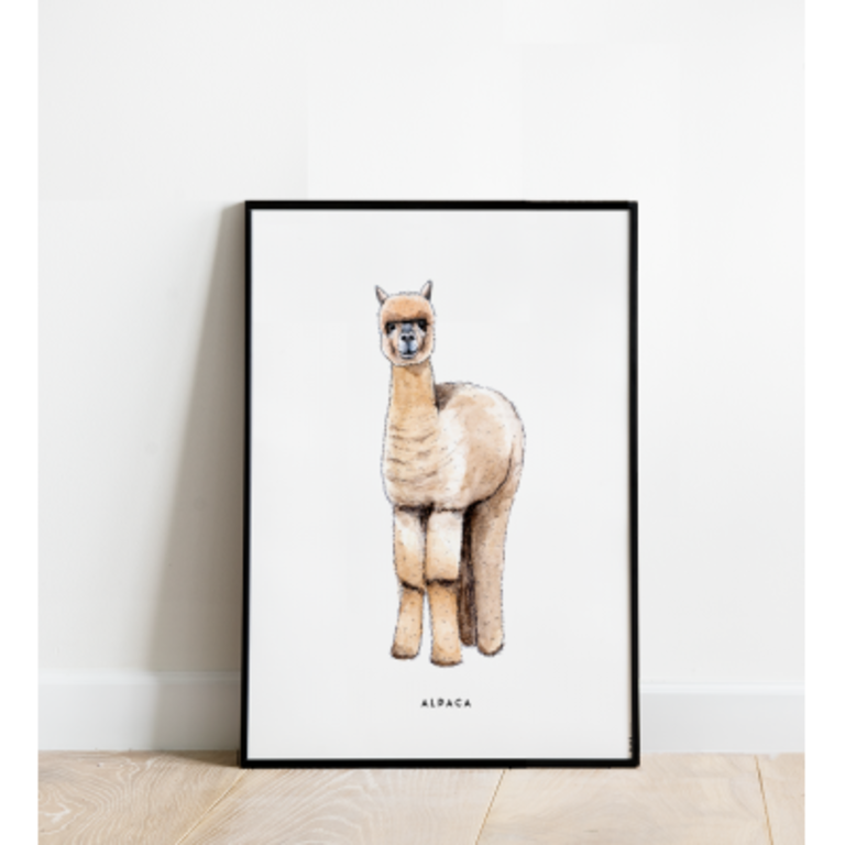 Meesie & Bintje Meesie & Bintje / poster 30x40 / ALPACA