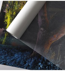 Canson Infinity Glassine Archival Paper 40 gr/m² Rol 44'' x 50m