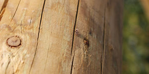 Houten palen in grond beschermen