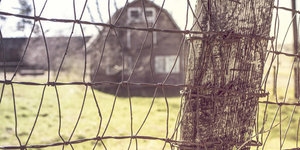 Gaas bevestigen aan hout: zo doe je dat!