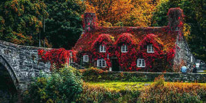 Dakgoot beschermen tegen bladeren