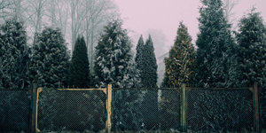 Tuin afrasteren? Zo bereken je hoeveel gaas nodig is