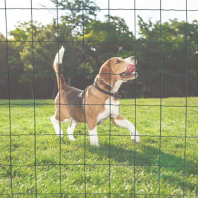 tint Toegangsprijs Verpletteren Afrastering voor honden | Giga Gaas