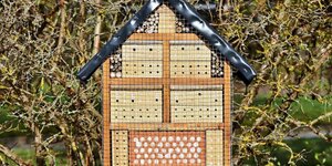 Nationale bijendag en een bijenhotel maken