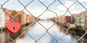 Hoe zorg je voor je gaas: Tips voor onderhoud en Winter is Coming