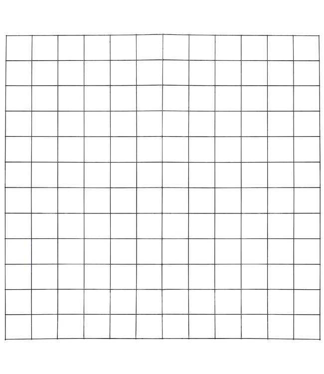 Garmix Gaaspaneel zwart gecoat, maas 15x15cm, 180x180cm