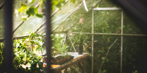 Wat je moet weten over kweken in een folietunnel