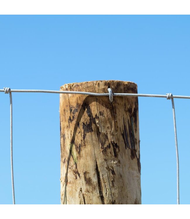 Garmix Draadkrammen  38x3,80mm 100 stuks