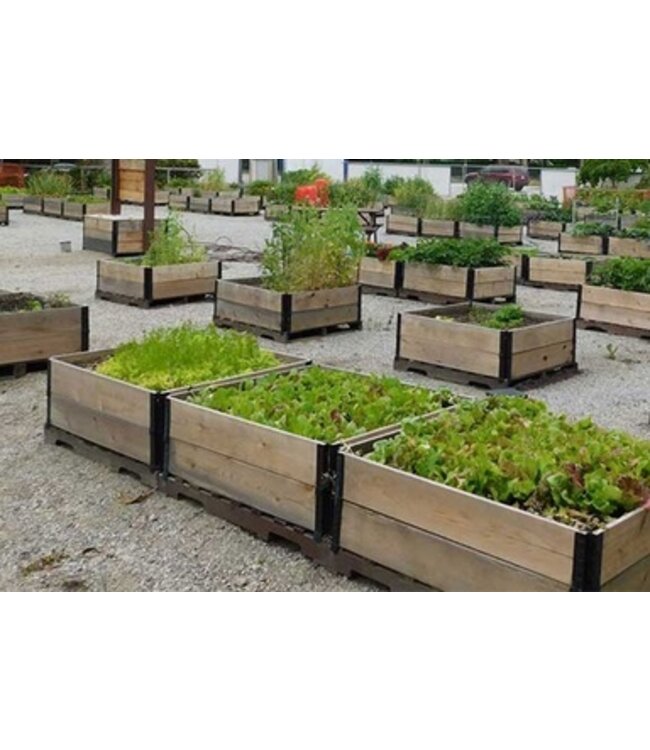 Garmix Moestuinbak 120x80x20 cm. (Europallet)