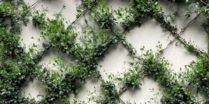 DIY: een plantenrek maken van gaaspanelen