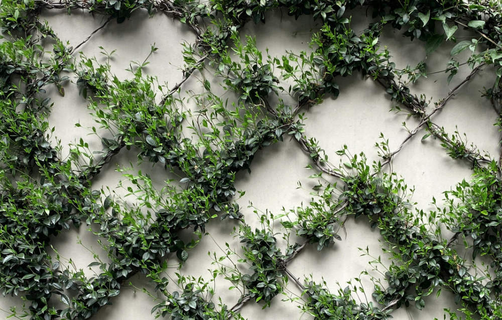 DIY: een plantenrek maken van gaaspanelen