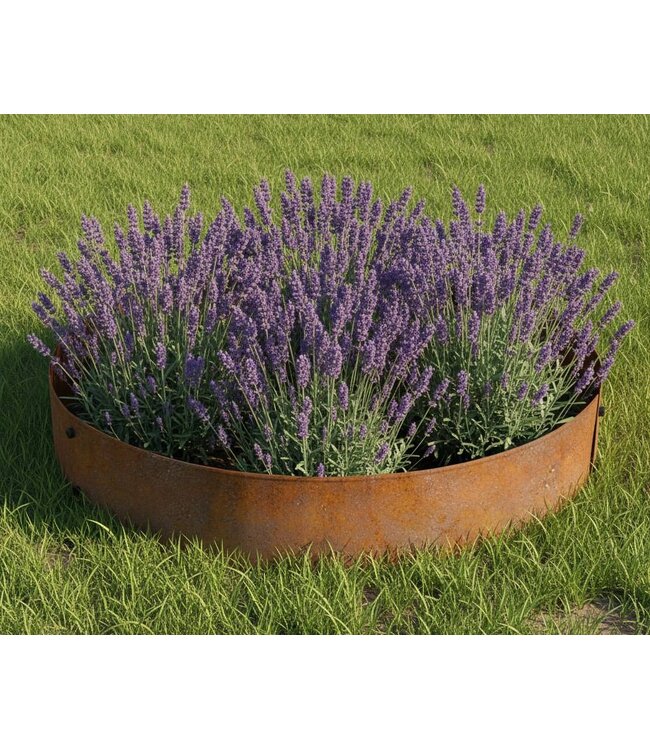 Garmix ø 100cm Ronde Cortenstaal Borderranden - 14cm hoog (2 stuks)