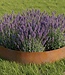 Garmix ø 100cm Ronde Cortenstaal Borderranden - 14cm hoog (2 stuks)