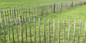Waarom schapenhek ideaal hekwerk is voor ongelijk terrein