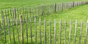 Schapenhek onderhouden: zo blijft je houten hekwerk jarenlang mooi